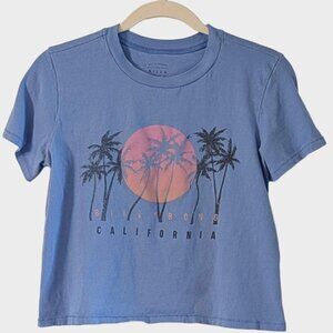 Billabong California Palm Tree Graphic Tee Blue Surf T-Shirt Size S